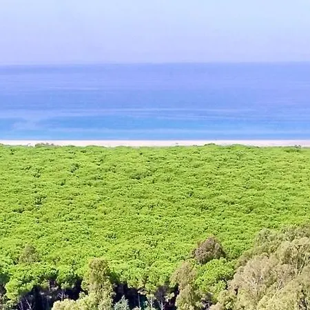 公寓 Club One Bed 81g 皮佐