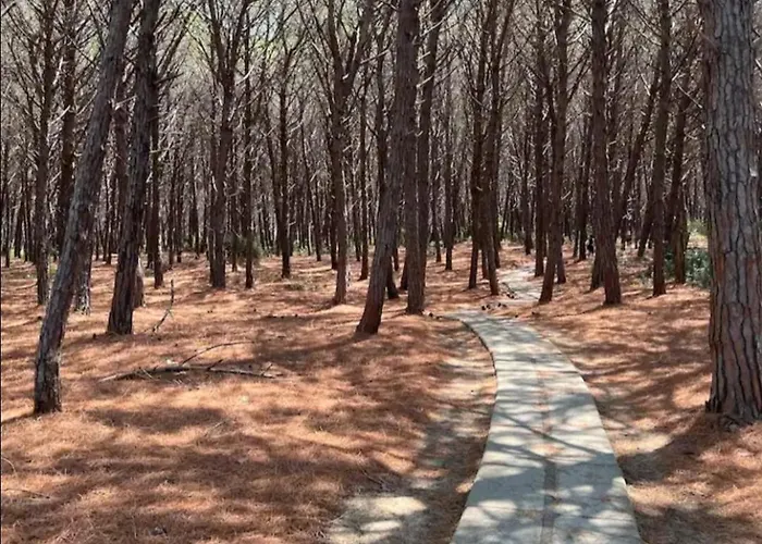 Apartamento Club One Bed 81g *